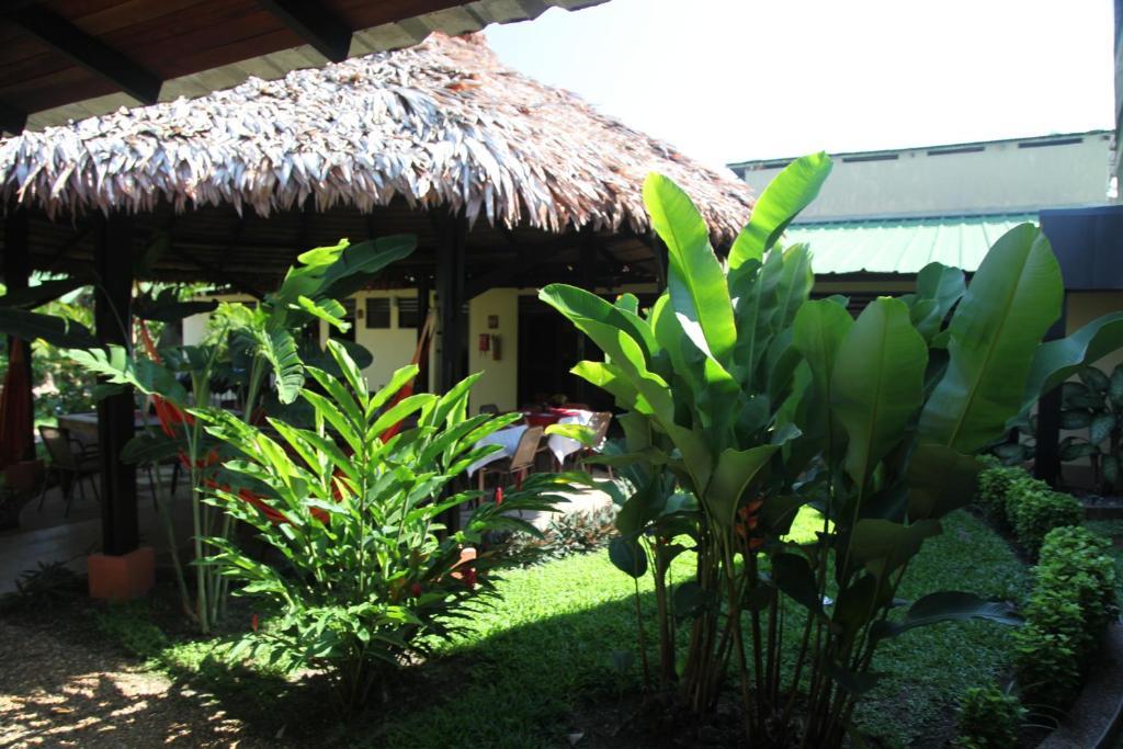Hotel Amazon Bed And Breakfast Leticia Luaran gambar