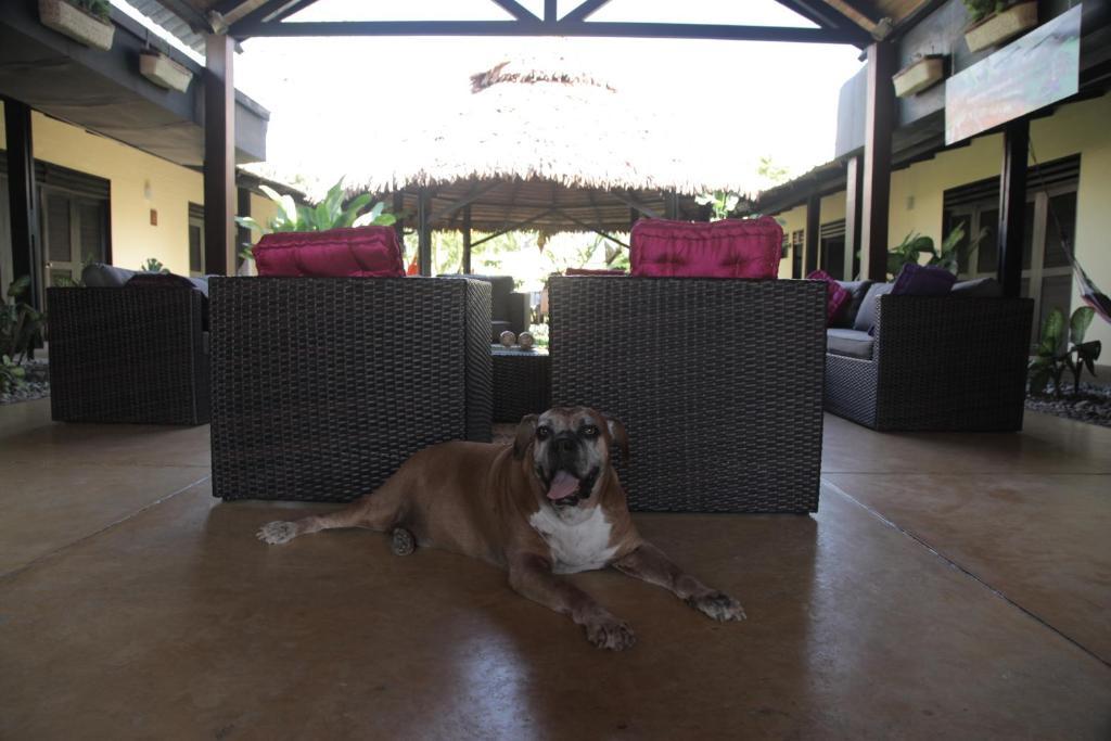 Hotel Amazon Bed And Breakfast Leticia Luaran gambar