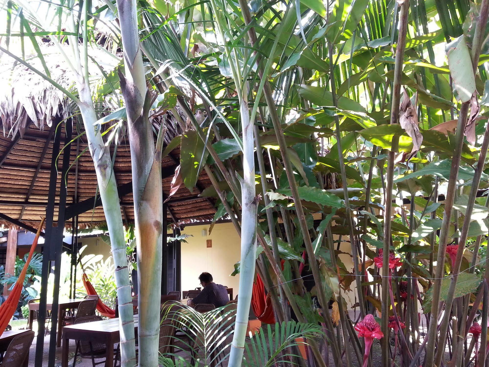 Hotel Amazon Bed And Breakfast Leticia Luaran gambar